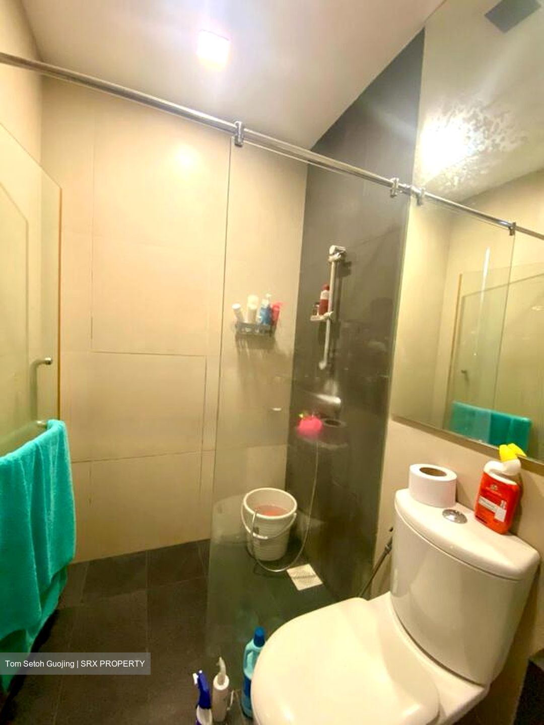 Parc Elegance (D15), Apartment #472949921
